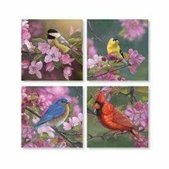 Carson Home Accents Carson Asst Bird Pink Flower Coaster Set Of 4