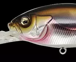 Megabass Deep Six 80mm Lures 7 Megabass Deep Six 80mm Lures -Fishing Sales 2023 deep six 03 ito wakasagi Freddys 38a8eed0 5390 45f8 9e78 102ffb11db3b