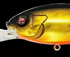 Megabass Deep Six 80mm Lures