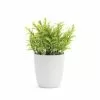 Demdaco Mini Inkberry Faux Plant -Fishing Sales 2023 demminiink