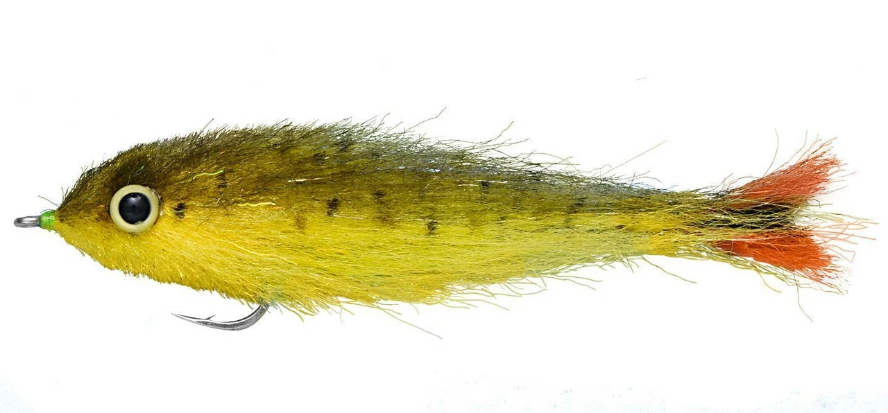 Enrico Puglisi Dorado Baby Saltwater Fly 3 Enrico Puglisi Dorado Baby Saltwater Fly