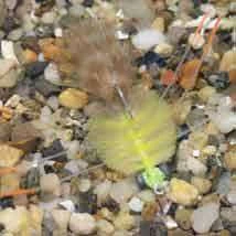 Enrico Puglisi EP Crab Golden Sand Saltwater Fly 3 Enrico Puglisi EP Crab Golden Sand Saltwater Fly