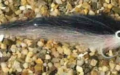 Enrico Puglisi Inshore/Offshore Sardina Saltwater Fly