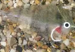 Enrico Puglisi Mangrove Baitfish Pinfish Saltwater Fly