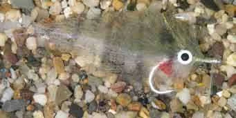 Enrico Puglisi Mangrove Baitfish Pinfish Saltwater Fly 3 Enrico Puglisi Mangrove Baitfish Pinfish Saltwater Fly