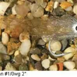 Enrico Puglisi Minnow Bay Anchovy Saltwater Fly 7 Enrico Puglisi Minnow Bay Anchovy Saltwater Fly -Fishing Sales 2023 enrico puglisi minnow bay anchovy saltwater fly 69488.1651171121