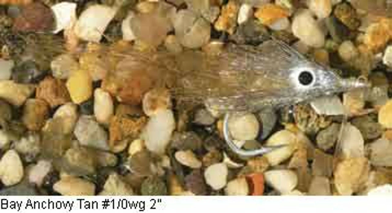 Enrico Puglisi Minnow Bay Anchovy Saltwater Fly 5 Enrico Puglisi Minnow Bay Anchovy Saltwater Fly - Image 3