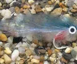 Enrico Puglisi Peanut Butter Blueback Herring Saltwater Fly