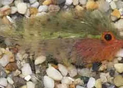 Enrico Puglisi Warm Water Bluegill #1/0 3 Fly