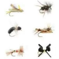 Fulling Mill Terrestrial Selection