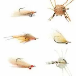 Fulling Mill Tropics Selection