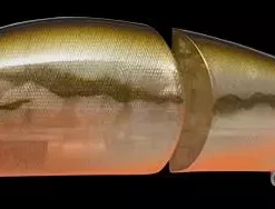 Megabass I Slide 185mm Swimbait Lures -Fishing Sales 2023 i slide 185 08 ss ugui Freddys f96fc6ce 8d46 4921 9f67 45172a4ea97d