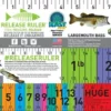 Largemouth Bass Release Ruler Decal 1 Largemouth Bass Release Ruler Decal -Fishing Sales 2023 largemouth bass release ruler decal 58123.1651112070.386.513
