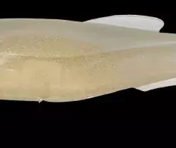 Megabass Magdraft Lures -Fishing Sales 2023 magdraft6inch 25 white back shad Freddys 647c488f fe29 40ec 8670 63027f90fff5