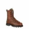 Rocky Men's Bearclaw 3D Gore-Tex Waterproof 200G Insulated Outdoor Boots -Fishing Sales 2023 rocky 9237 1