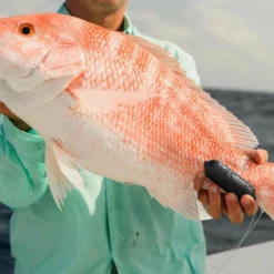 Sharkbanz Fishing Zeppelin 10 Sharkbanz Fishing Zeppelin -Fishing Sales 2023 sharkbanz sbf 0zep zeppelin 76776.1651418536