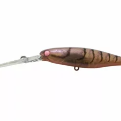 Jackall Squirrel 67SP Suspending Silent Lures -Fishing Sales 2023 squirrel 79 pink eye suji 2 fb94c4fb 023c 4031 9be4 55f1d32f85a6