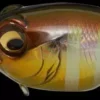 Megabass SR-X Griffon Lures -Fishing Sales 2023 sr x griffon 03 gg gill Freddys 1200a2ab bd64 473d bc4a 6a807c6dfa2e
