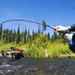 Thomas & Thomas Avantt Series Fly Rods -Fishing Sales 2023 thomas thomas avantt series fly rods 24051.1651330434