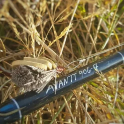 Thomas & Thomas Avantt Series Fly Rods -Fishing Sales 2023 thomas thomas avantt series fly rods 92418.1651330433