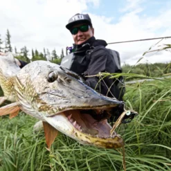 Thomas & Thomas Exocett Predator Fly Rod - 9 Ft. 4 In. - 45 Grain -Fishing Sales 2023 thomas thomas predator 94450 4 exocett predator fly rod 79039.1651330450