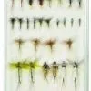Umpqua 09274 Eastern Trout Deluxe Selection 1 Umpqua 09274 Eastern Trout Deluxe Selection -Fishing Sales 2023 umpqua 09274 eastern trout deluxe 55723.1651333144.386.513