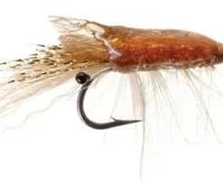 Umpqua 15611 Ultra Shrimp Popovic